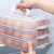 Biz three layer stackable egg storage box refrigerator fresh box rectangular frozen dumpling box chaos box quick frozen food with cover and handle tray zx-21